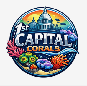 1st Capital Corals